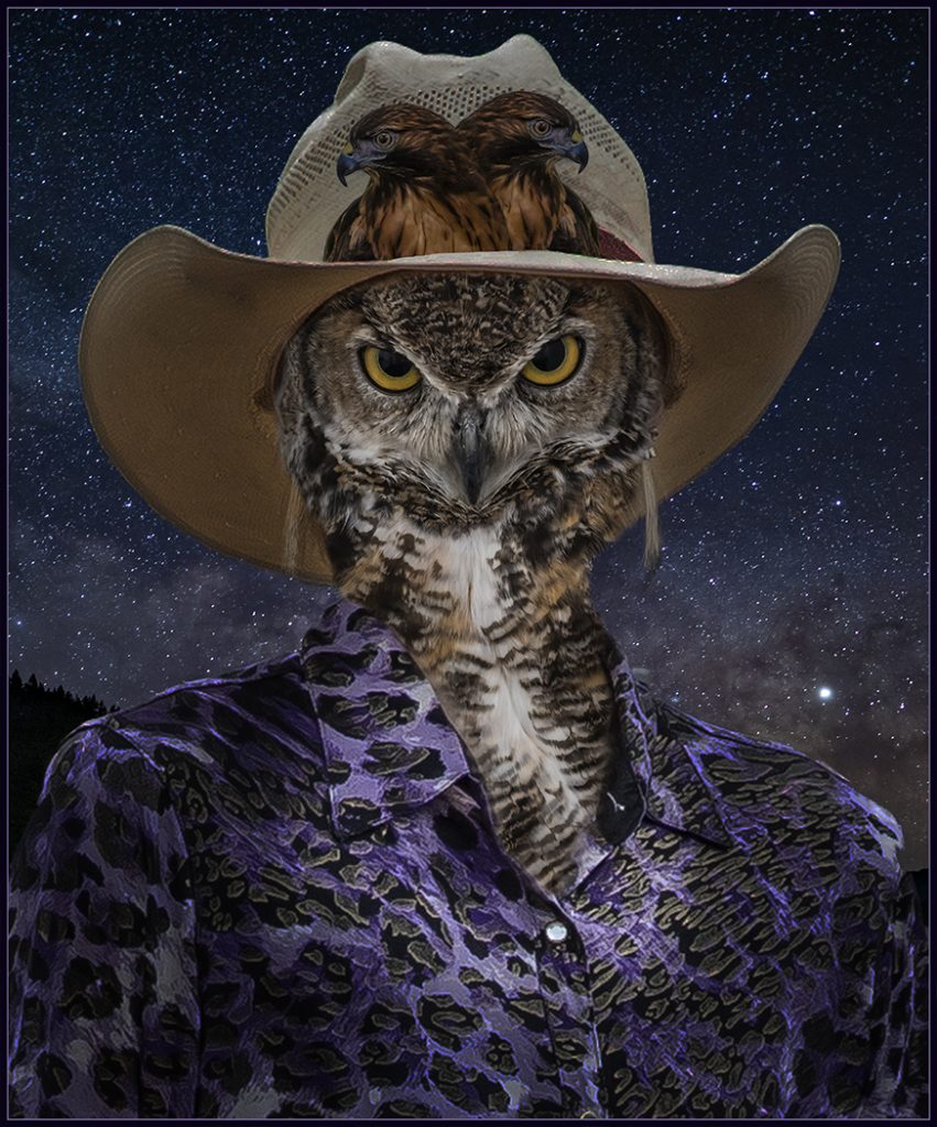 Night Rider - Rudy Dierks